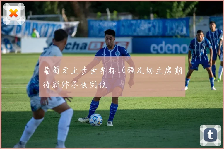 葡萄牙止步世界杯16强足协主席期待新帅尽快到位