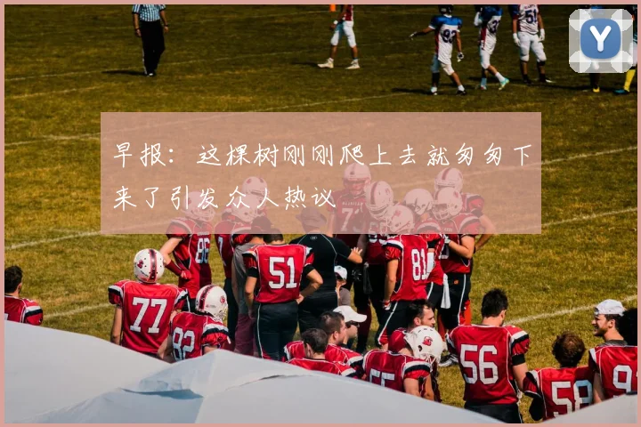 早报：这棵树刚刚爬上去就匆匆下来了引发众人热议